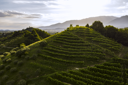 Asolo hillsides