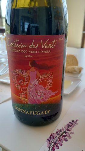 Donnafugata Vittoria tasting 4