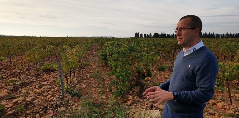 Southern Rhône's Troubled Middle Child (Welcome To Lirac) | 1 Wine Dude